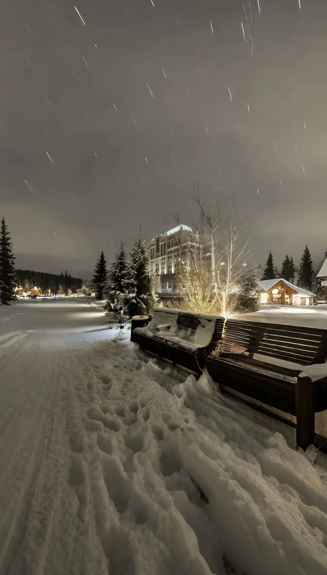 Snow-covered benches and pine trees on a winter evening